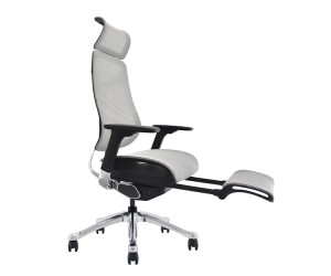 Imove Mesh Ergonomic Office Chair ជាមួយនឹង footrest ពណ៌ប្រផេះ