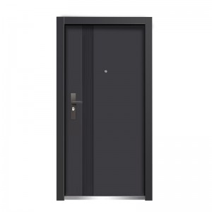 Hot Sale Exterior Ewlekariya Steel Metal Door